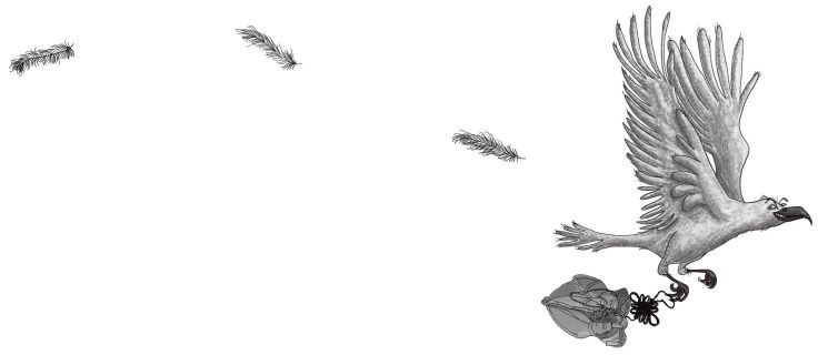 Prince Camar_The evil bird